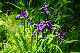 image0196