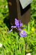 image0197
