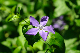 image0198