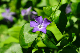 image0199