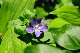 image0200