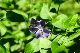 image0201