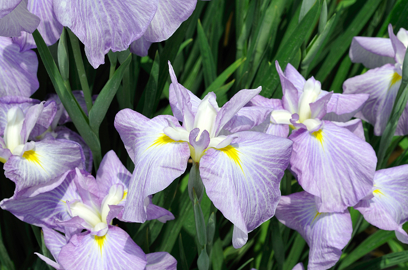 image0100