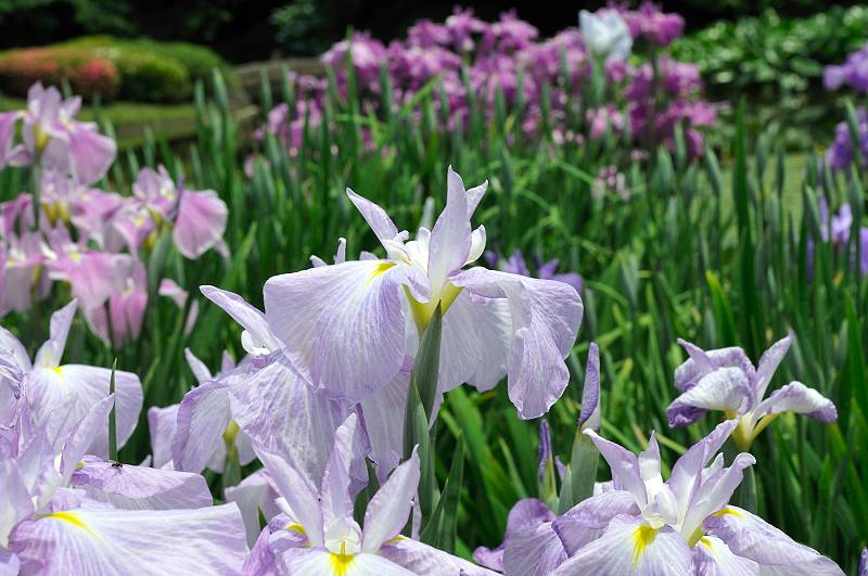 image0104