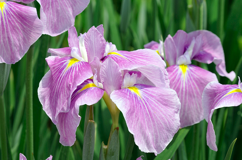 image0116