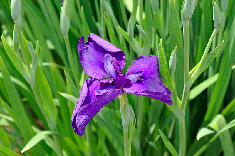 image0122