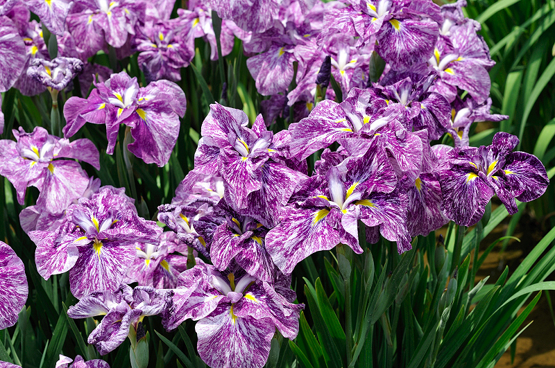 image0127