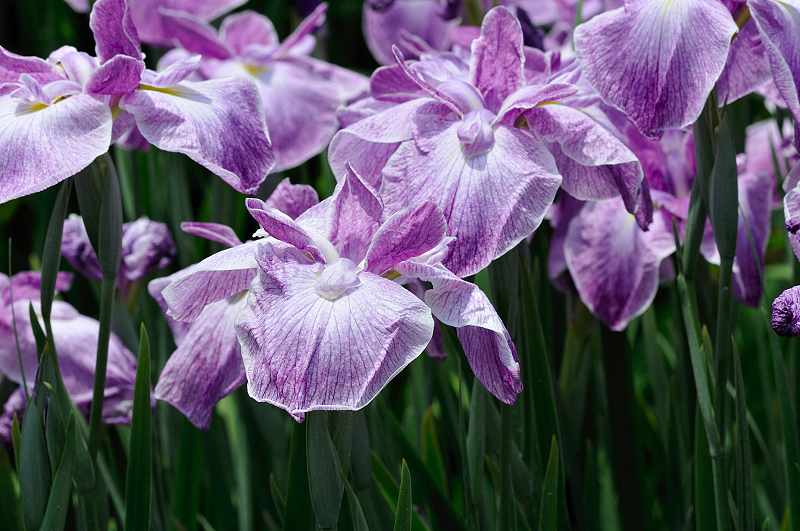 image0134