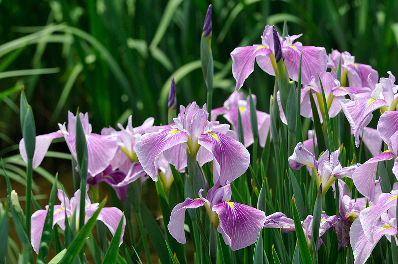 image0141