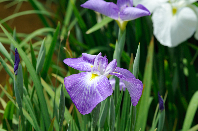image0144