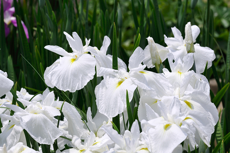 image0145