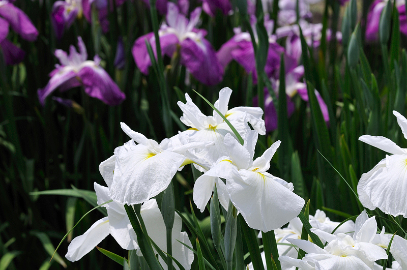 image0146