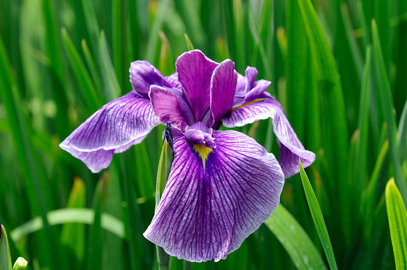image0150