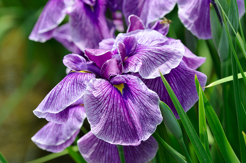 image0151