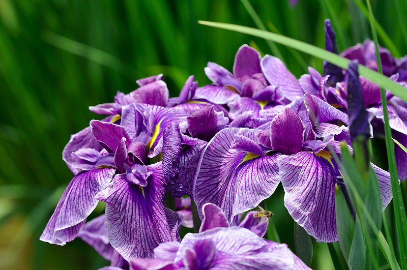image0152