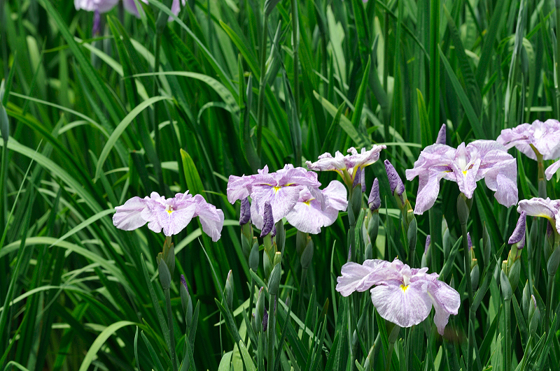 image0162