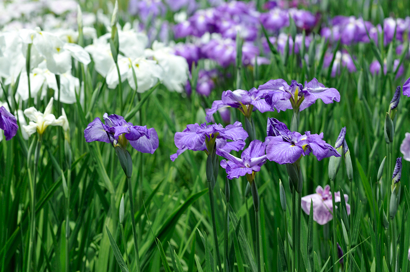 image0166