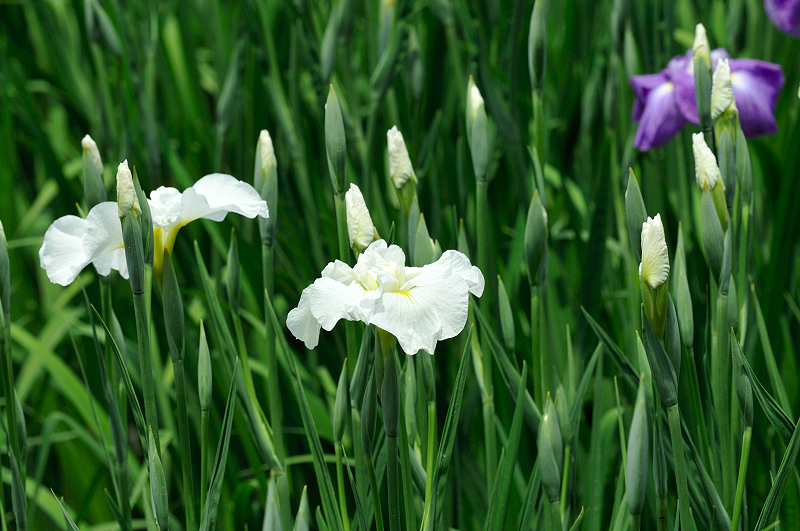 image0167