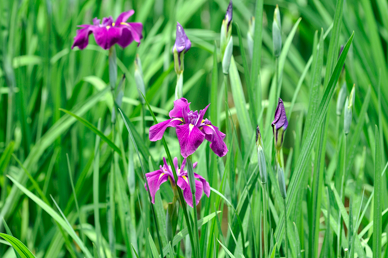 image0170