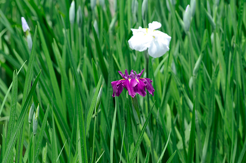 image0171