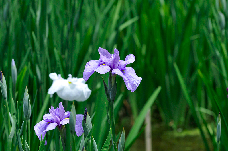 image0175