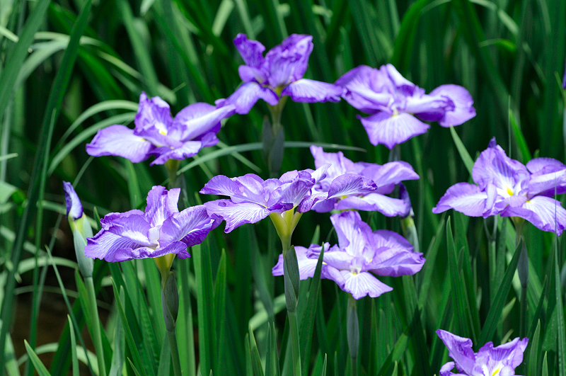 image0177