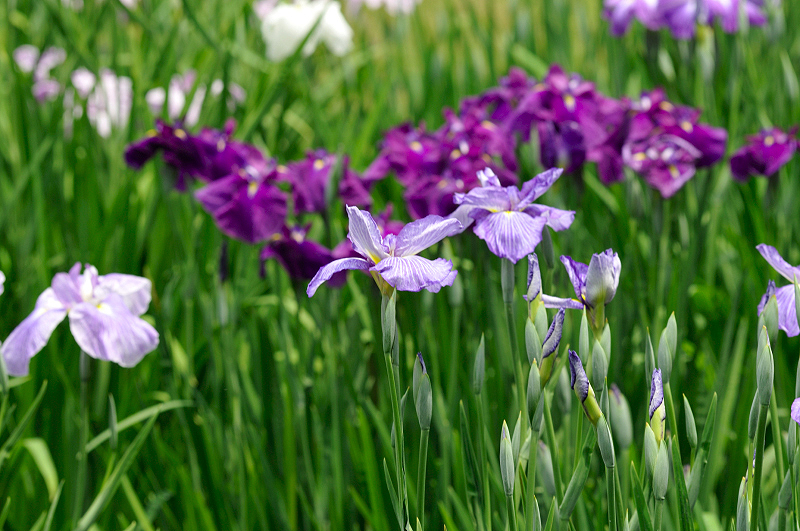 image0179