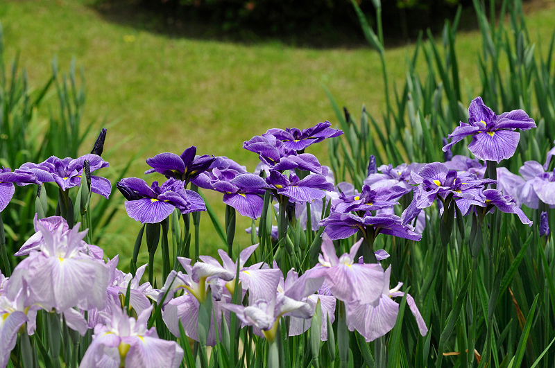 image0181