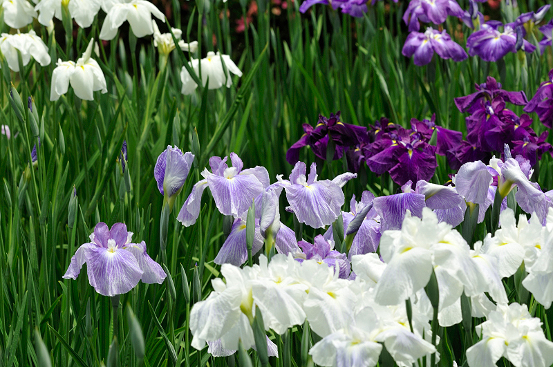 image0182