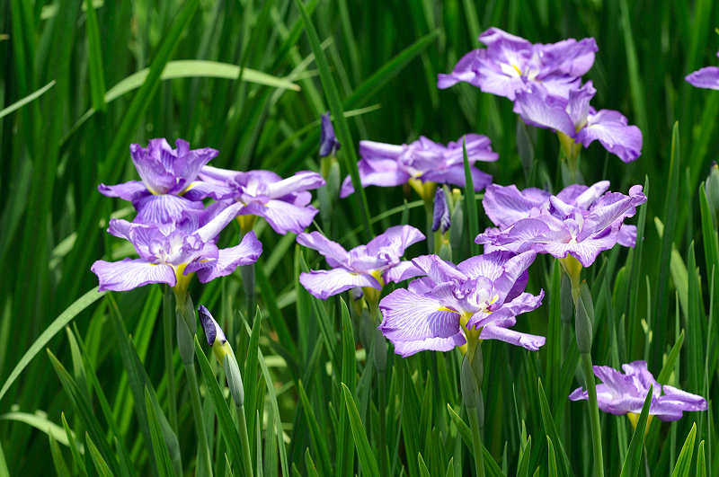 image0183