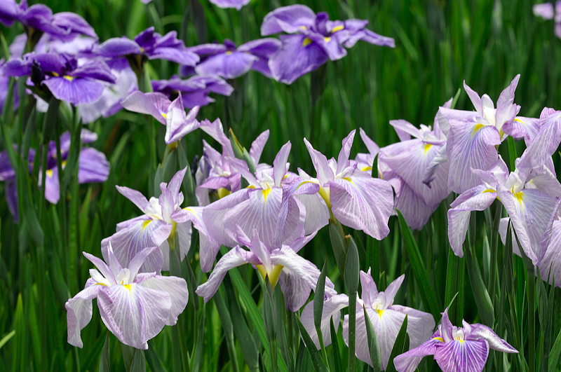 image0184