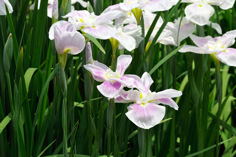 image0188