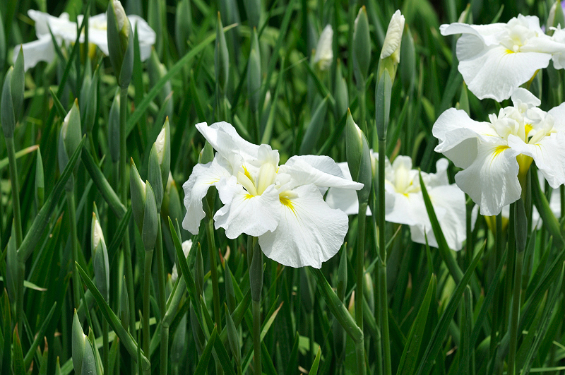 image0192