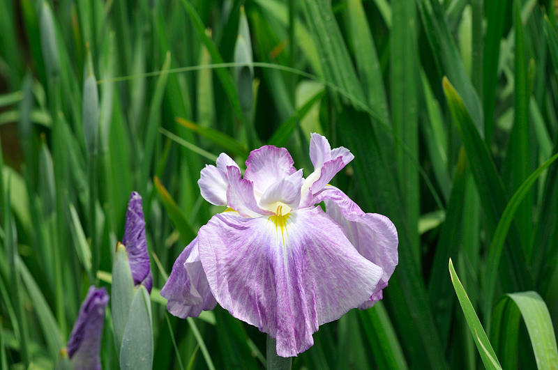 image0193