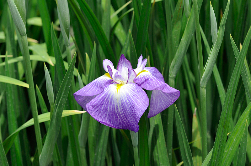 image0196