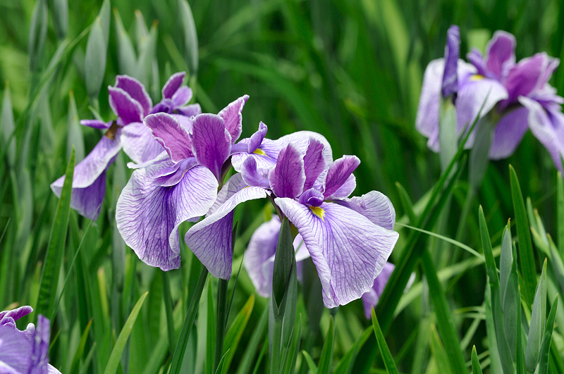 image0197