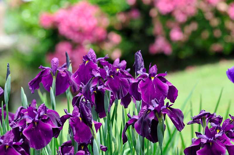 image0200