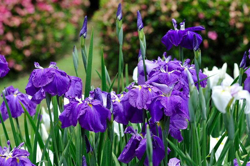 image0201