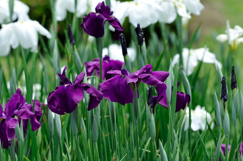 image0202