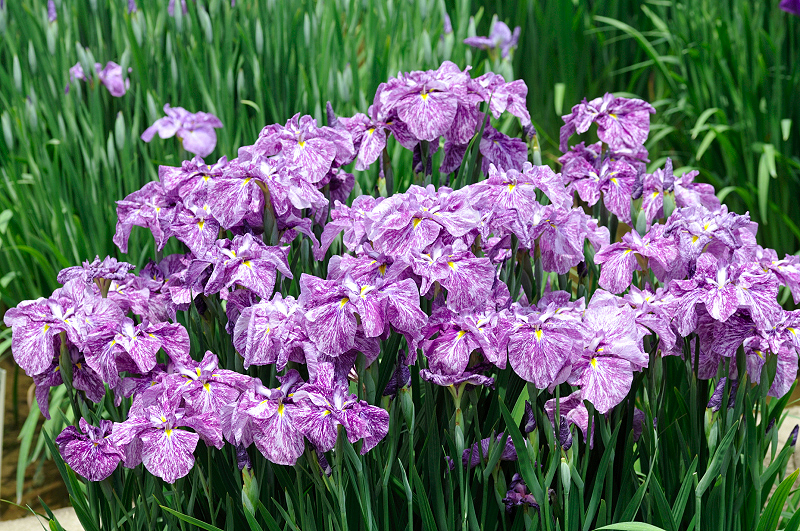 image0208