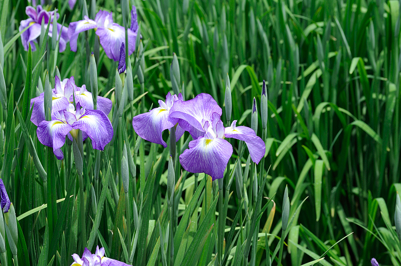 image0209