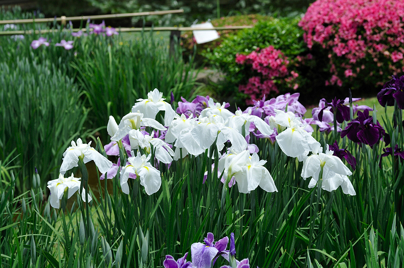 image0210