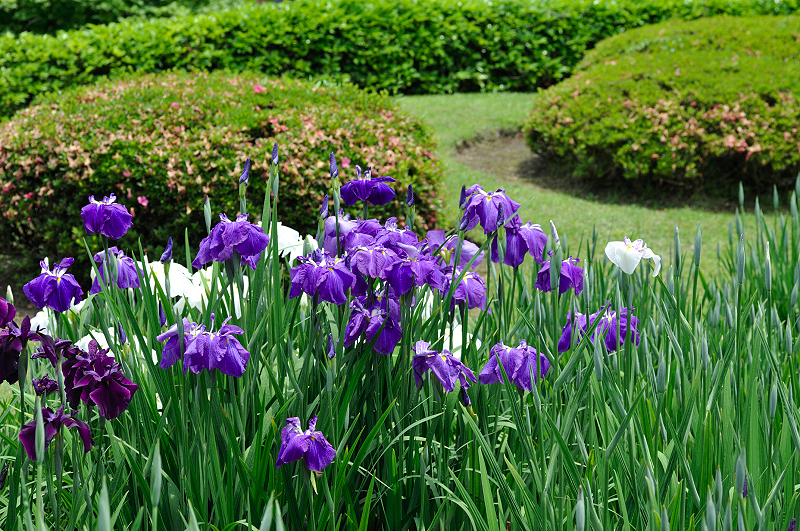 image0212