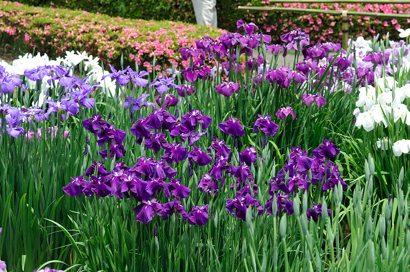 image0213