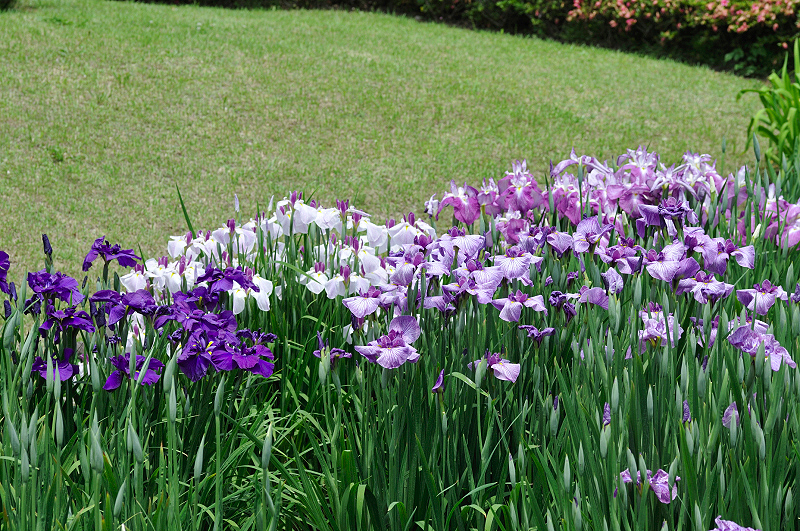 image0214