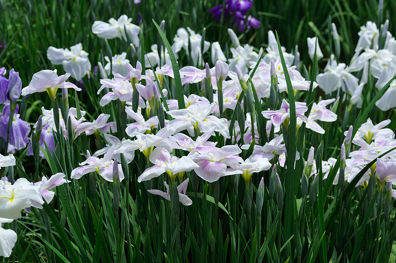 image0216