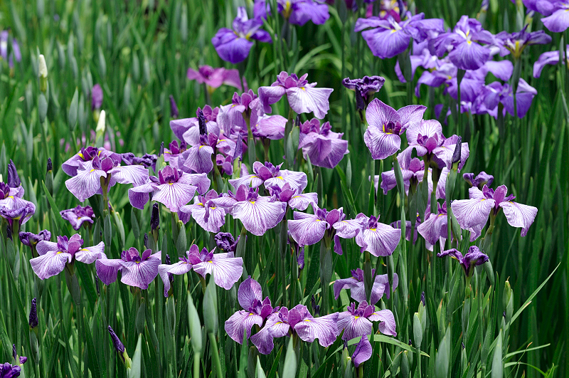 image0218
