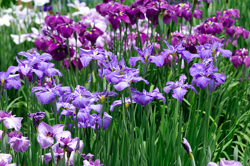 image0219