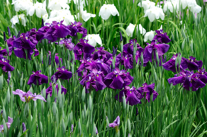 image0220