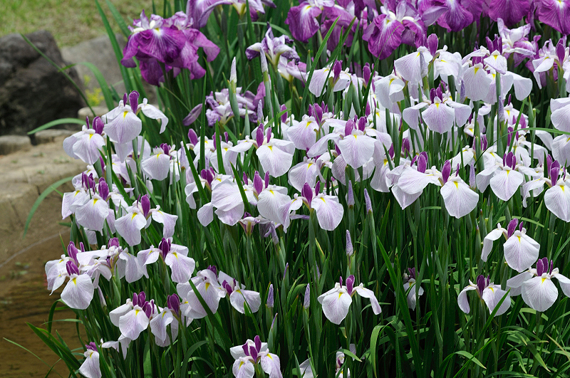 image0222